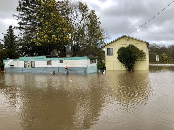 Emergency Storm Cleanup
