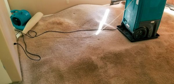 Flood Damage Cleanup