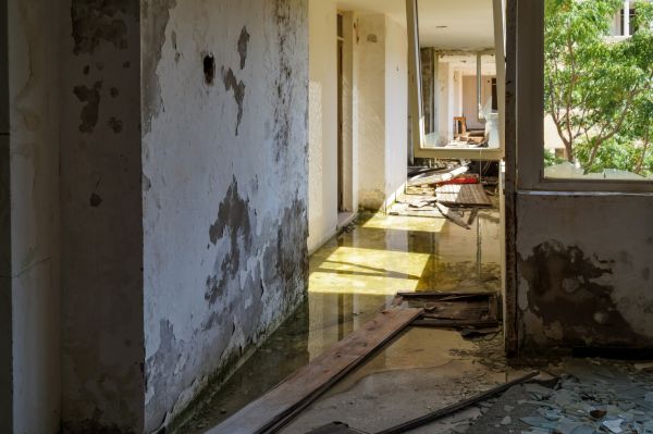 Water Removal Service in West Chester